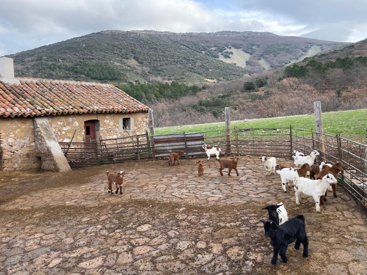 Casa Rural Las Lanchas Hontanar Ngoại thất bức ảnh